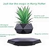 Floating Magnetic Levitating Flower Pot