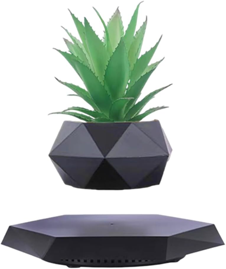 Geometric black planter with a green plant on a white background