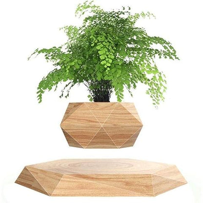 Geometric wooden planter with a green plant on a white background
